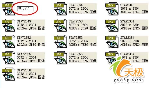 WindowsXP 操作系统 批量命名