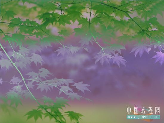 Photoshop合成教程:创意设计打造梦幻精灵艺术效果