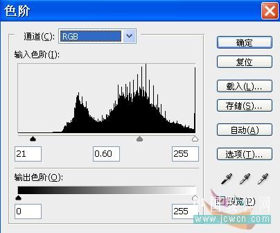 Photoshop合成教程:创意设计打造梦幻精灵艺术效果