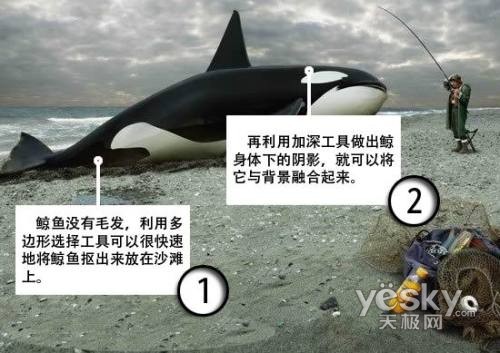 鬼斧神工的PS合成特技：加深工具“钓鲸”