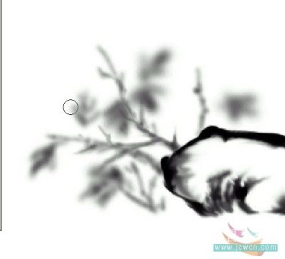 Photoshop鼠绘教程:绘制中国韵味水墨画_墨菊