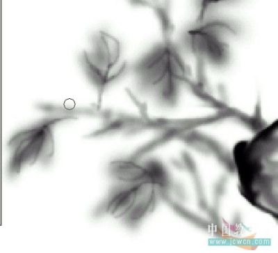 Photoshop鼠绘教程:绘制中国韵味水墨画_墨菊