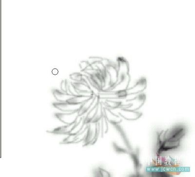 Photoshop鼠绘教程:绘制中国韵味水墨画_墨菊