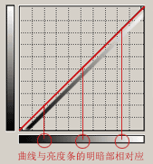入门:图文讲解Photoshop曲线的用法