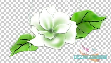 Photoshop鼠绘教程:绘制康师傅茉莉清茶图解_www.knowsky.com