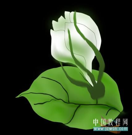 Photoshop鼠绘教程:绘制康师傅茉莉清茶图解_www.knowsky.com