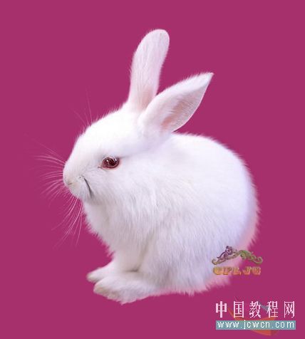 Photoshop抠图教程:抽出滤镜抠出可爱小白兔_www.knowsky.com