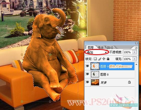 Photoshop合成教程:打造小象宝宝的悠闲时光