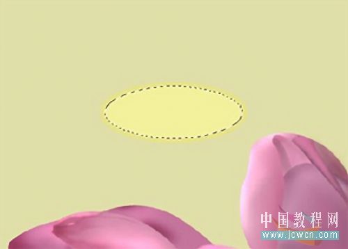 Photoshop鼠绘教程:绘制亭亭玉立的荷花_www.knowsky.com