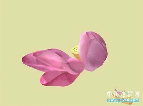 Photoshop鼠绘教程:绘制亭亭玉立的荷花_www.knowsky.com