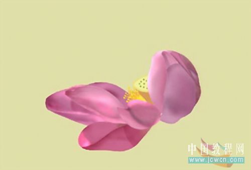 Photoshop鼠绘教程:绘制亭亭玉立的荷花_www.knowsky.com