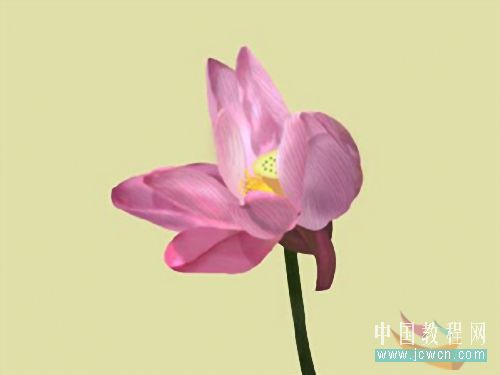 Photoshop鼠绘教程:绘制亭亭玉立的荷花_www.knowsky.com
