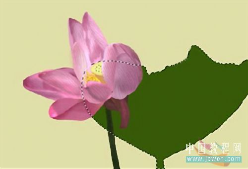 Photoshop鼠绘教程:绘制亭亭玉立的荷花_www.knowsky.com
