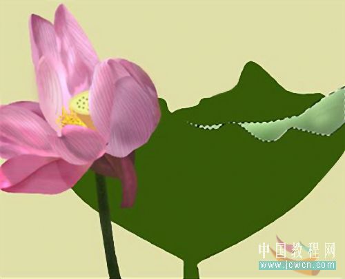 Photoshop鼠绘教程:绘制亭亭玉立的荷花_www.knowsky.com
