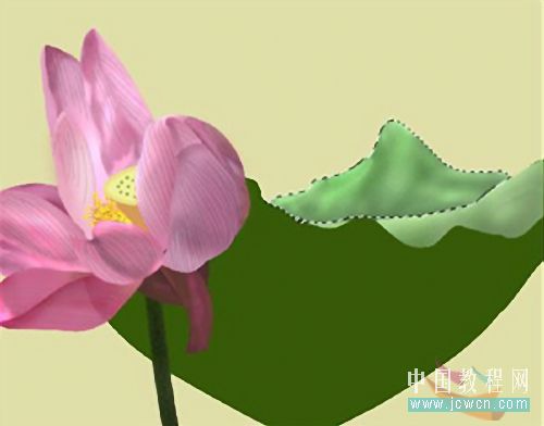 Photoshop鼠绘教程:绘制亭亭玉立的荷花_www.knowsky.com