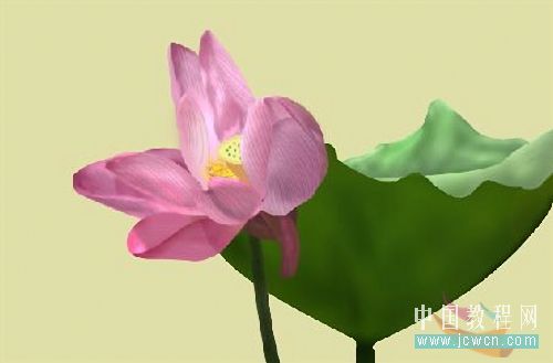 Photoshop鼠绘教程:绘制亭亭玉立的荷花_www.knowsky.com