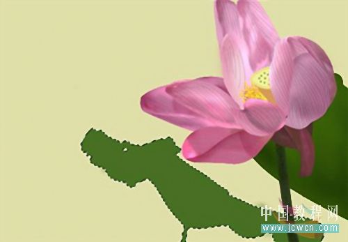 Photoshop鼠绘教程:绘制亭亭玉立的荷花_www.knowsky.com