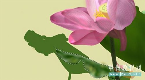 Photoshop鼠绘教程:绘制亭亭玉立的荷花_www.knowsky.com