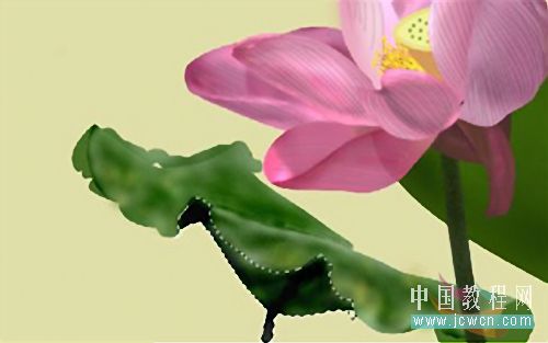 Photoshop鼠绘教程:绘制亭亭玉立的荷花_www.knowsky.com