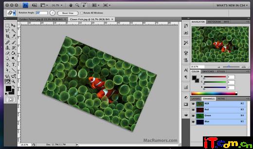 photoshop CS4截图2