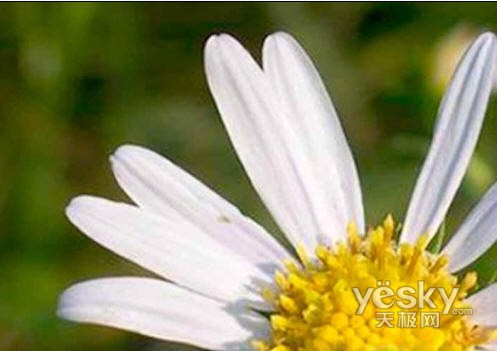 PS绝技:扩大/拉伸图片同时减小失真