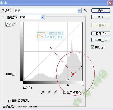 Photoshop调出照片的古典颓废非主流色调