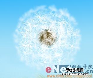 Photoshop制作逼真的风中蒲公英