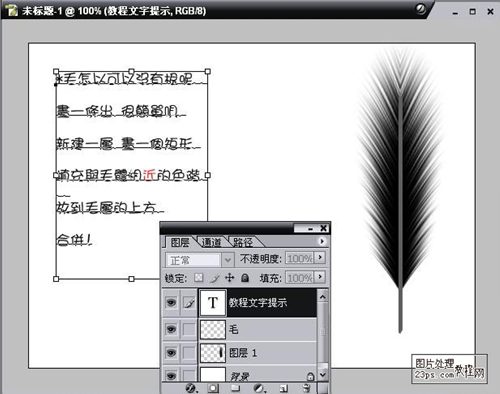 巧用Photoshop滤镜制作羽毛花