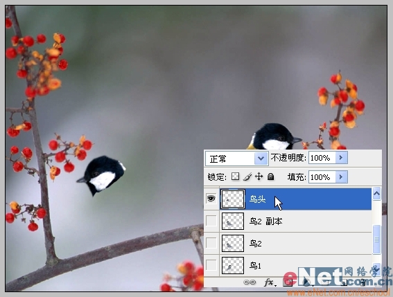 Photoshop制作小鸟趣味动画教程