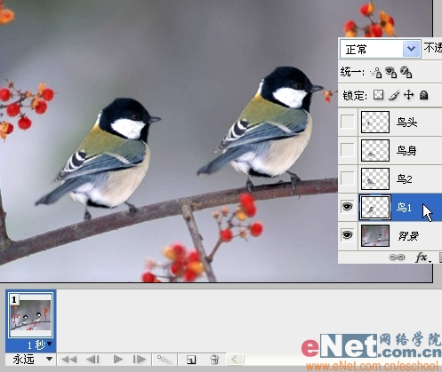 Photoshop制作小鸟趣味动画教程