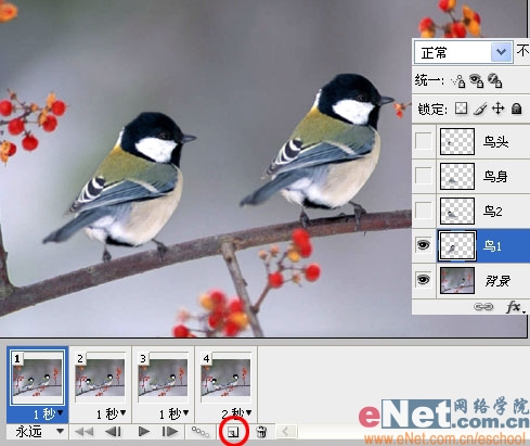 Photoshop制作小鸟趣味动画教程