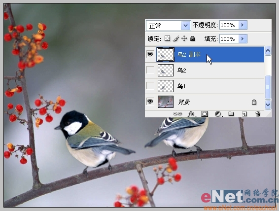 Photoshop制作小鸟趣味动画教程