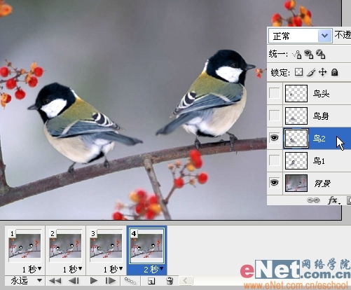 Photoshop制作小鸟趣味动画教程