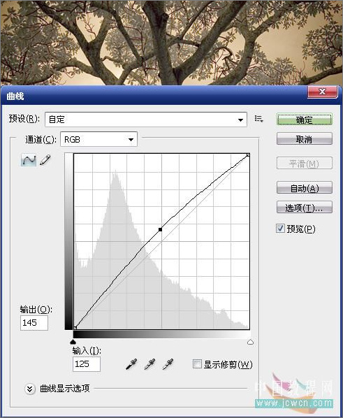 Photoshop调色:树木照片的冷暖色调