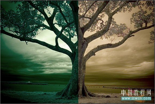 Photoshop调色:树木照片的冷暖色调