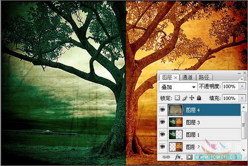 Photoshop调色:树木照片的冷暖色调