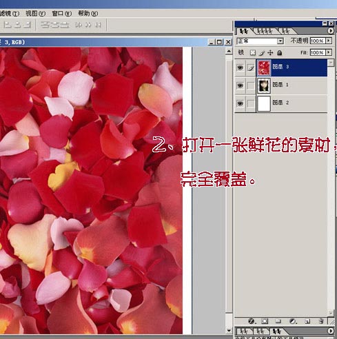 Photoshop照片合成_玫瑰花瓣围绕的女孩