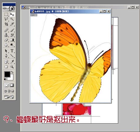 Photoshop照片合成_玫瑰花瓣围绕的女孩