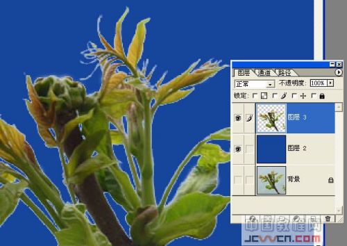 Photoshop去边命令巧除抠图杂边