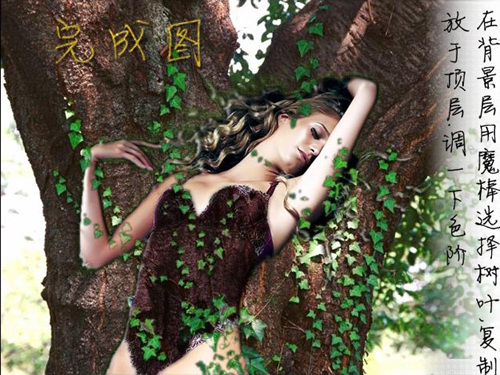 Photoshop图片合成教程:美女和树