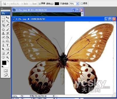 PhotoShop营造梦幻效果_神秘园中的精灵