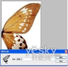 PhotoShop营造梦幻效果_神秘园中的精灵