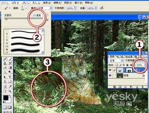 Photoshop合成教程:回归森林的老虎