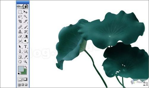 Photoshop鼠绘实例:精美荷花