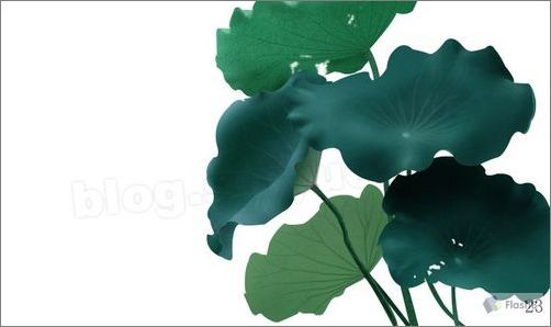 Photoshop鼠绘实例:精美荷花