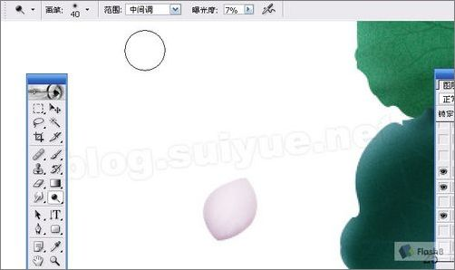 Photoshop鼠绘实例:精美荷花