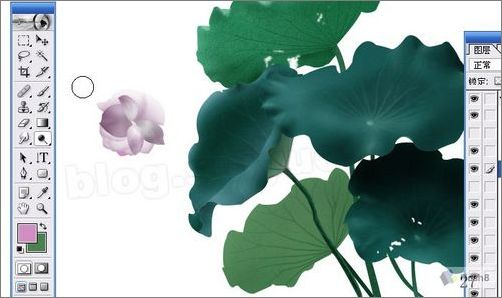 Photoshop鼠绘实例:精美荷花