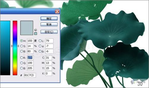Photoshop鼠绘实例:精美荷花