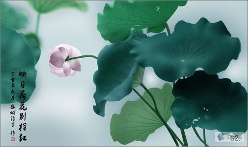 Photoshop鼠绘实例:精美荷花