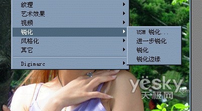 数码照片的Photoshop清晰化处理漫谈(图三)